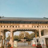 这个初秋，来东湖邂逅，听涛声依旧🌊