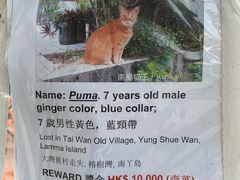 -南丫岛