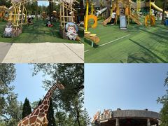 -南戴河国际娱乐中心