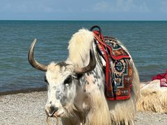 -青海湖国家重点风景名胜区