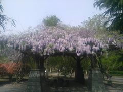 -白塘生态植物园