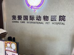 -宠爱国际动物医院·疑难骨科·心肾内科·皮肤科(太阳宫店)