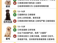 -翊宠yipet猫狗购宠庄园犬舍•猫舍