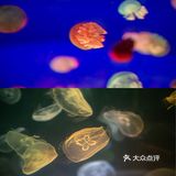 重庆旅游｜春节出游重庆融创文旅城攻略
