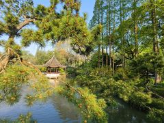 -上海醉白池公园