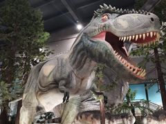 -湖南省地质博物馆