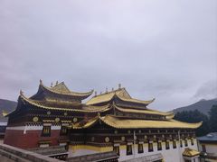 -四川郎木寺镇