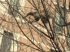 -天津东丽湖风景区