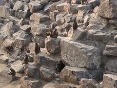-太原动物园