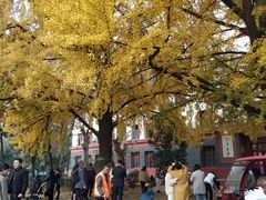 -四川大学(望江校区)