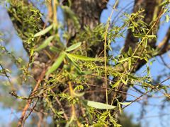 -酷鱼垂钓CLUB(朝阳区博大路店 )