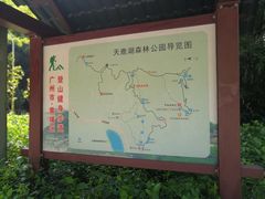 -天鹿湖森林公园