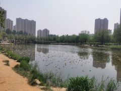 -前关湿地公园