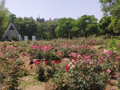 -宜兴龙背山森林公园