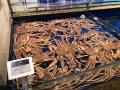 -高佳庄·舟山海鲜(海景旗舰店)