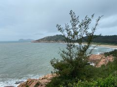 -广东惠东海龟国家级自然保护区