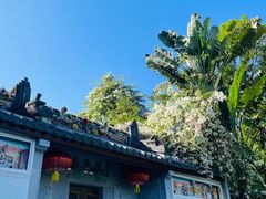 -深圳国际园林花卉博览园