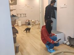 -猫咪派对(江南西店)