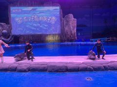 -华夏文旅海洋公园