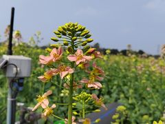 -中国天府农业博览园