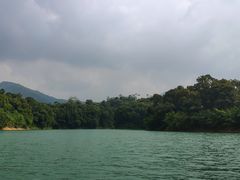 -广州市流溪河国家森林公园