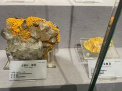 -湖南省地质博物馆