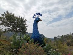 -东莞植物园