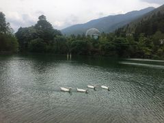 -蝴蝶泉公园