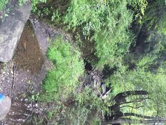 情人谷-芦芽山旅游度假区