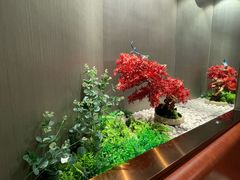 -蝎王府羊蝎子(西直门店)