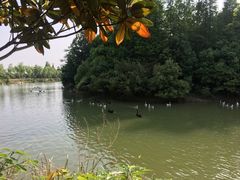 -艾溪湖湿地公园