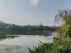 -北坞公园