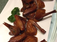 -皇朝尊会(龙之梦大酒店)