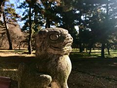 -沈阳市东陵公园
