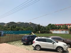 -趣玩宠物乐园寄养训犬训狗游泳池