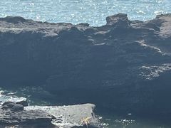 -涠洲岛火山国家地质公园