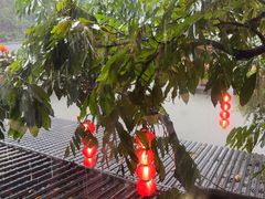 -侨美·唐荔园·40年地道粤菜