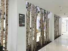 -极简口腔(总院)