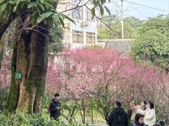 -南山植物园