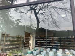 -远山有窑