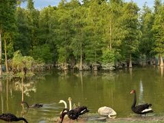 -东南花都花博园