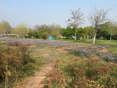 -江苏三台山国家森林公园