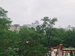 -莲花池公园