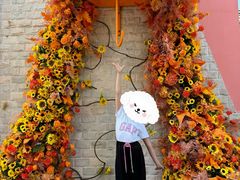 -济南方特东方神画