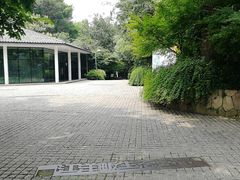 -西湖风景区-江洋畈生态公园