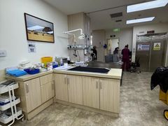 -美联众合动物医院·24h转诊中心