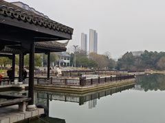 -洋湖国家湿地公园