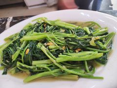 -乌文新澄海卤鹅店