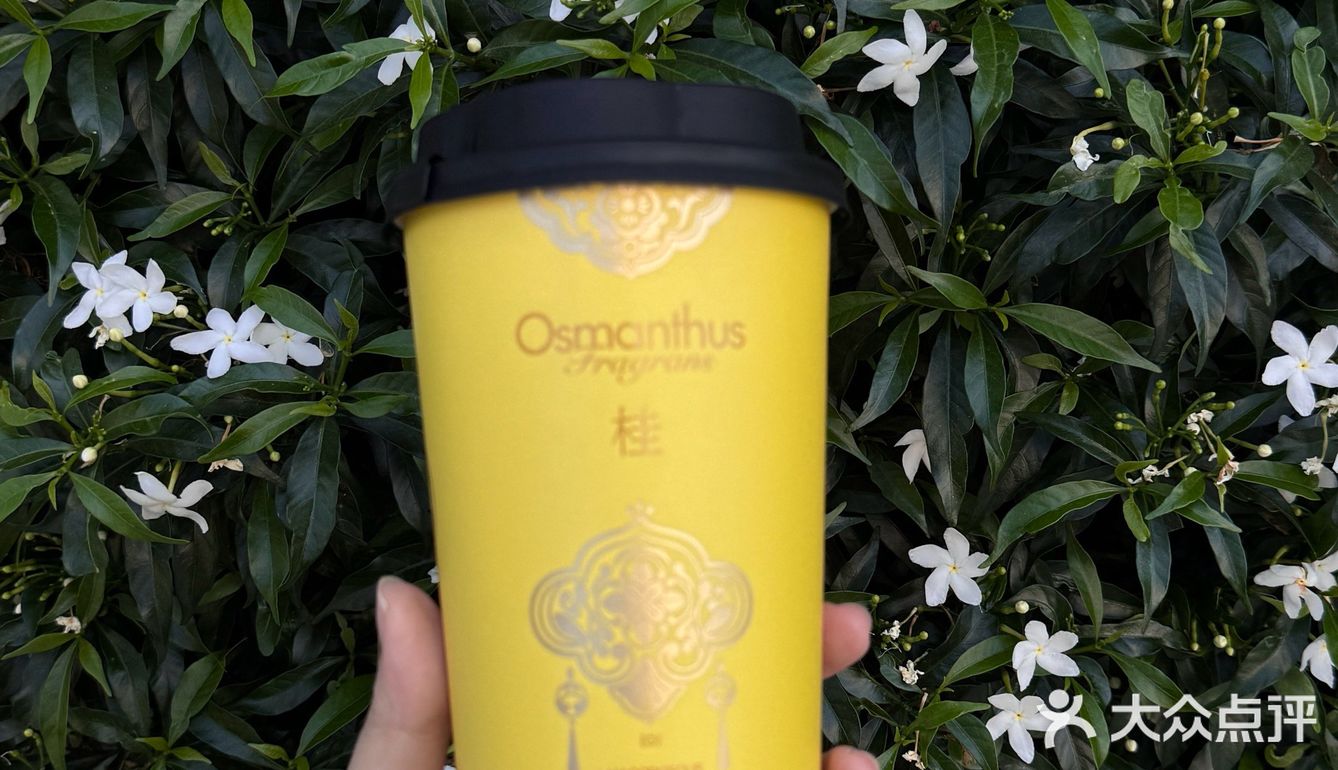 东莞的！！新开的！！爷爷不泡茶！他来了
