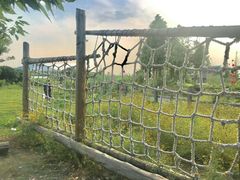 -田园东方蜜桃村的田野营地